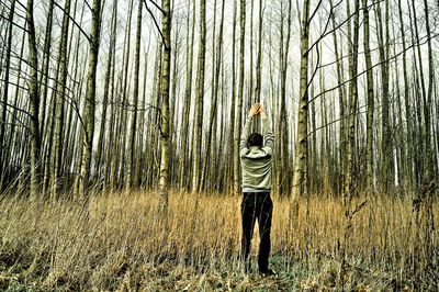 Man standing by tree trunk in forest