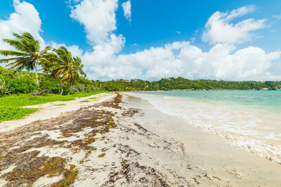 Scenic view of beach against sky