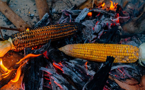 High angle view of cooking corn in bonfire 