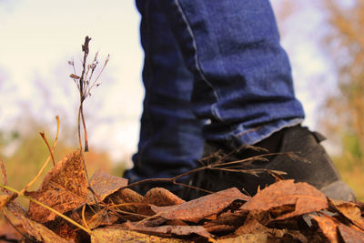 Low section of man holding plant