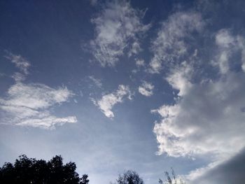 Low angle view of trees against blue sky