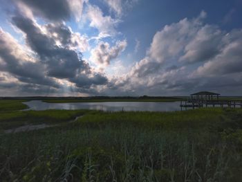 Scenic view of agricultural field against sky