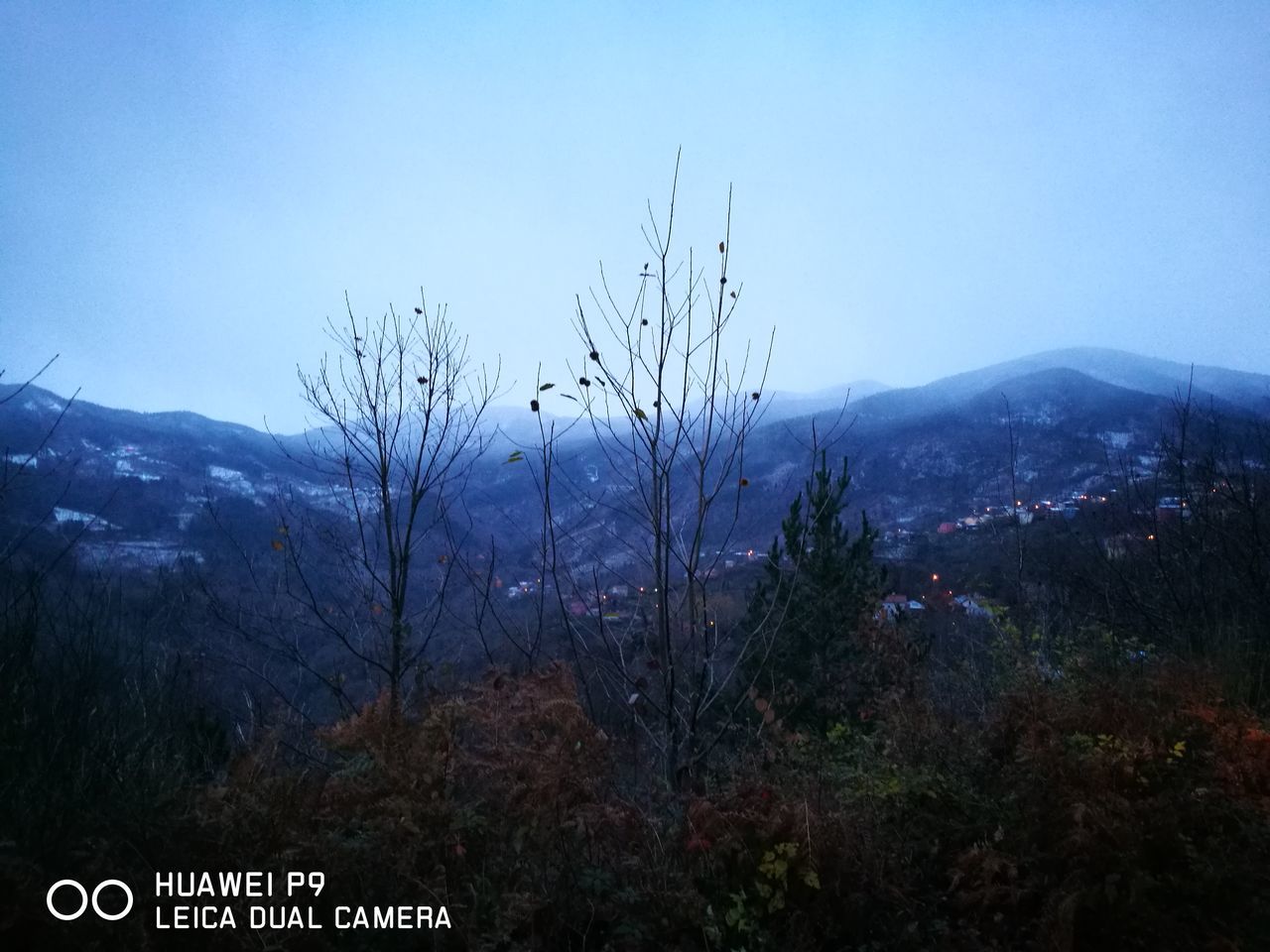 mountain, nature, beauty in nature, landscape, mountain range, tranquility, outdoors, scenics, day, no people, clear sky, tree, sky