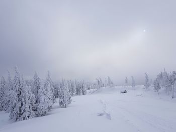 Snow covered land against sky