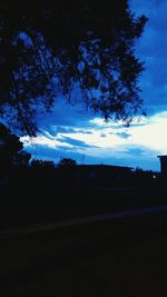 Silhouette of trees at sunset