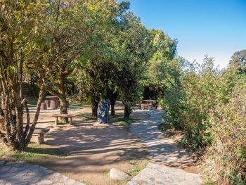 Trees in park against sky