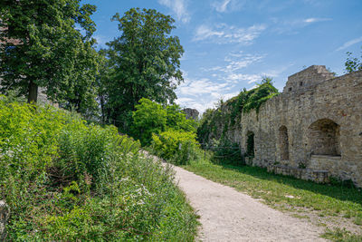 Footpath amidst plants and trees against sky