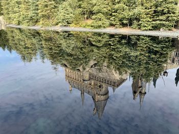 Reflection of trees in lake