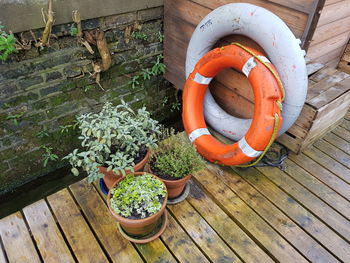 High angle view of plants