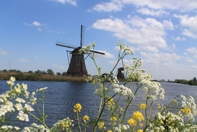 Traditional windmill by plants against sky