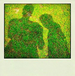 Full frame shot of grassy field