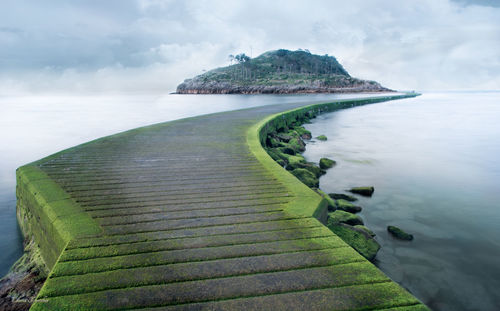 Moss covered pathway amidst lake against sky