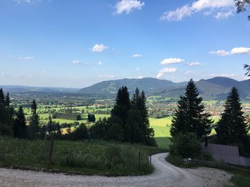 Country road leading towards mountains