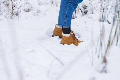 Low section of person on snow covered field