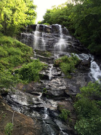 Low angle view of waterfall in forest