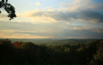 Scenic view of forest against sky at sunset