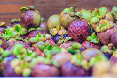 Close-up of apples growing in container