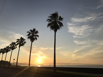 Silhouette palm trees against sky during sunset