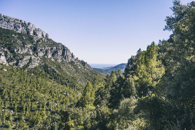 View from the top of a mountain in catalonia. photograph with space for text