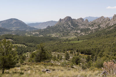 Scenic view of landscape and mountains against sky