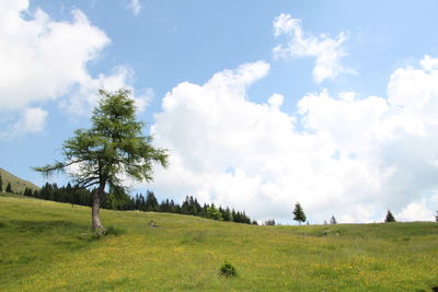 Idyllic shot of green landscape against sky