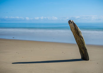 Wood buried on shore at beach