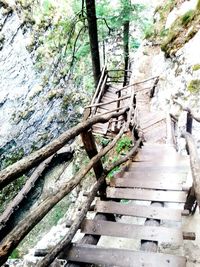 Low angle view of wooden staircase in forest