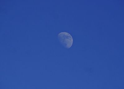 Low angle view of moon against blue sky