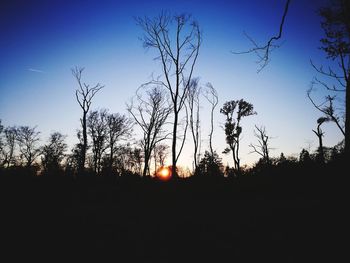 Silhouette bare trees on field against sky at sunset