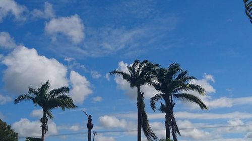 Low angle view of palm trees against blue sky