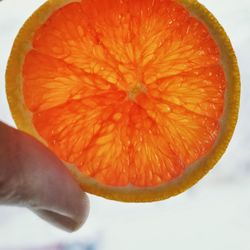 Close-up of red fruit