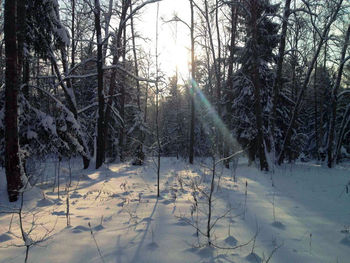 Scenic view of snow covered landscape