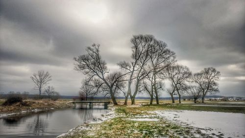 Bare trees on landscape against sky