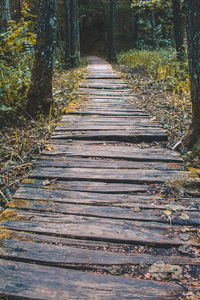 Footpath amidst trees in forest during autumn