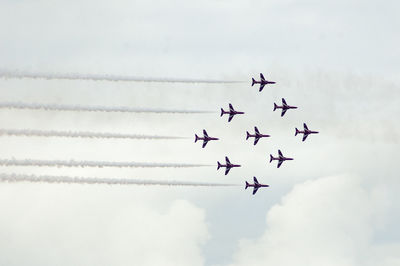 Low angle view of bird flying in sky