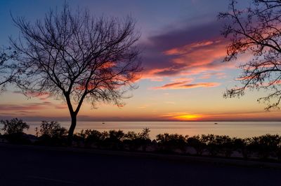 Silhouette bare tree by sea against romantic sky at sunset