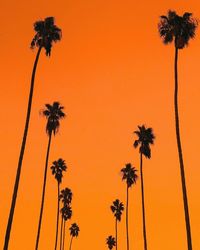 Low angle view of silhouette palm trees against orange sky