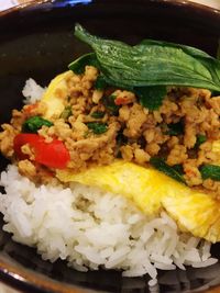 Close-up of food served in plate