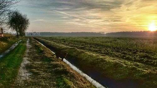 Scenic view of landscape at sunset