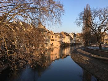 Reflection of bare trees in water against clear sky