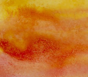 Full frame shot of orange slice