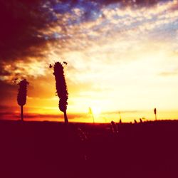 Silhouette of landscape at sunset