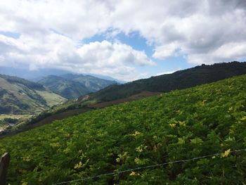 Scenic view of landscape against sky