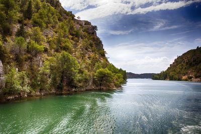 Scenic view of river amidst trees against sky