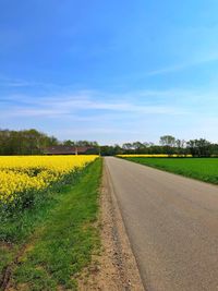 Road amidst field against sky