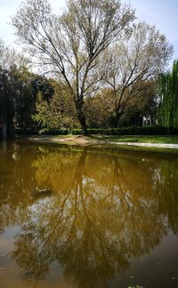 Reflection of trees in lake against sky