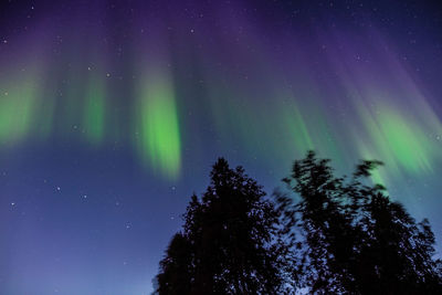 Low angle view of silhouette trees against sky at night