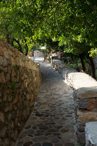 Narrow pathway along trees