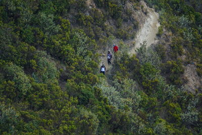 Aerial view of a group of hikers on the volcanic craters of mount longonot, rift valley