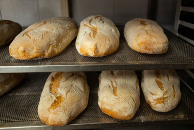 Baked bread loaves on a metal rack.